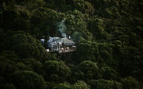 Thunzi Forest Chalets&Hot Tubs